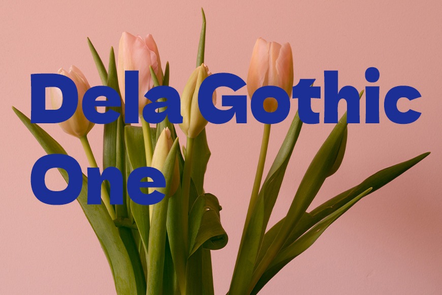 德拉黑体 Dela Gothic One!力量感十足的免费开源日文字体
