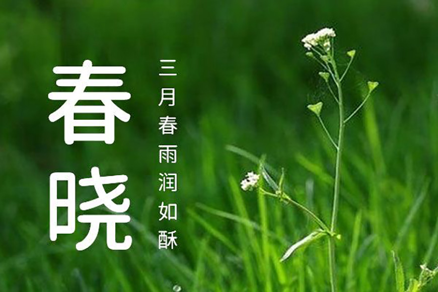 免费字体下载!包含7种字重的可商用圆体-资源圆体