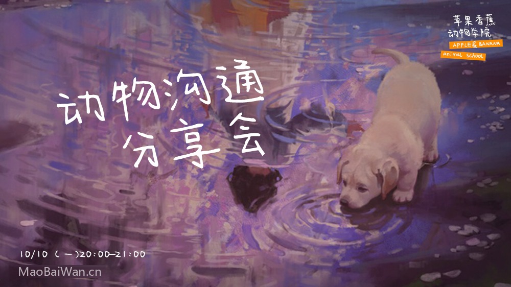 今年也要加油鸭!一款简约手写风格的免费可商用中文字体下载