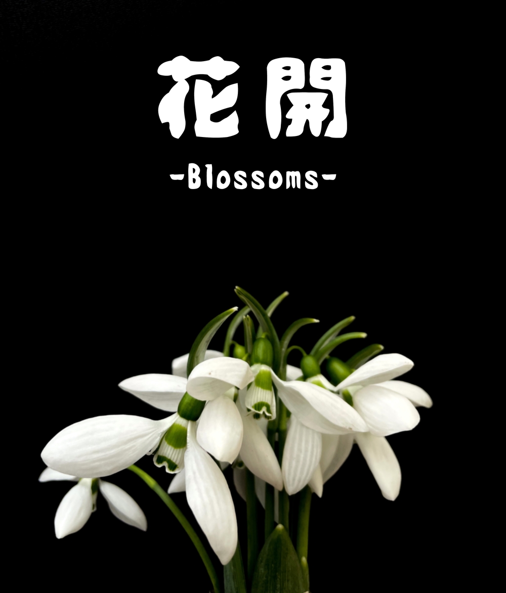 idfont壊雲体!一款手绘复古俏皮的免费可商用字体