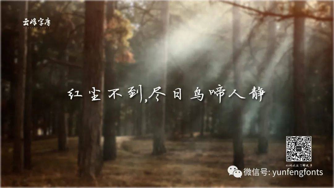 云峰寒蝉体 字体特点
