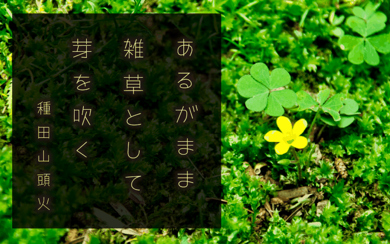 Tanugo手写体 字体特点