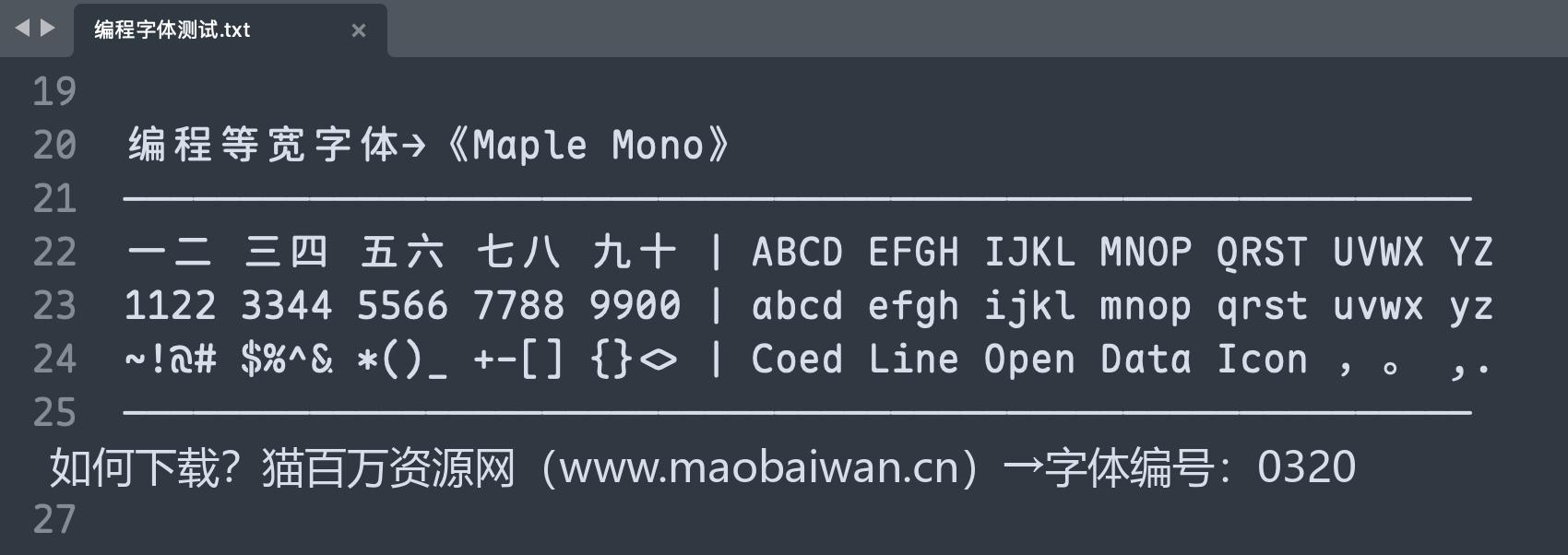 MapleMono 字体案例 1