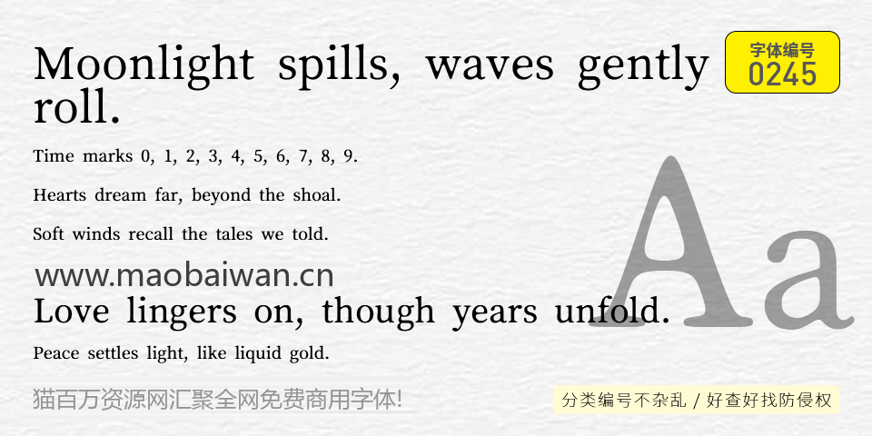 焔明朝 字体案例 2
