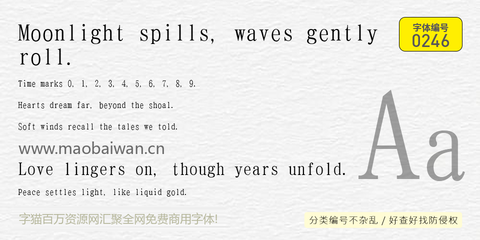 T明朝 GT01 字体案例 2