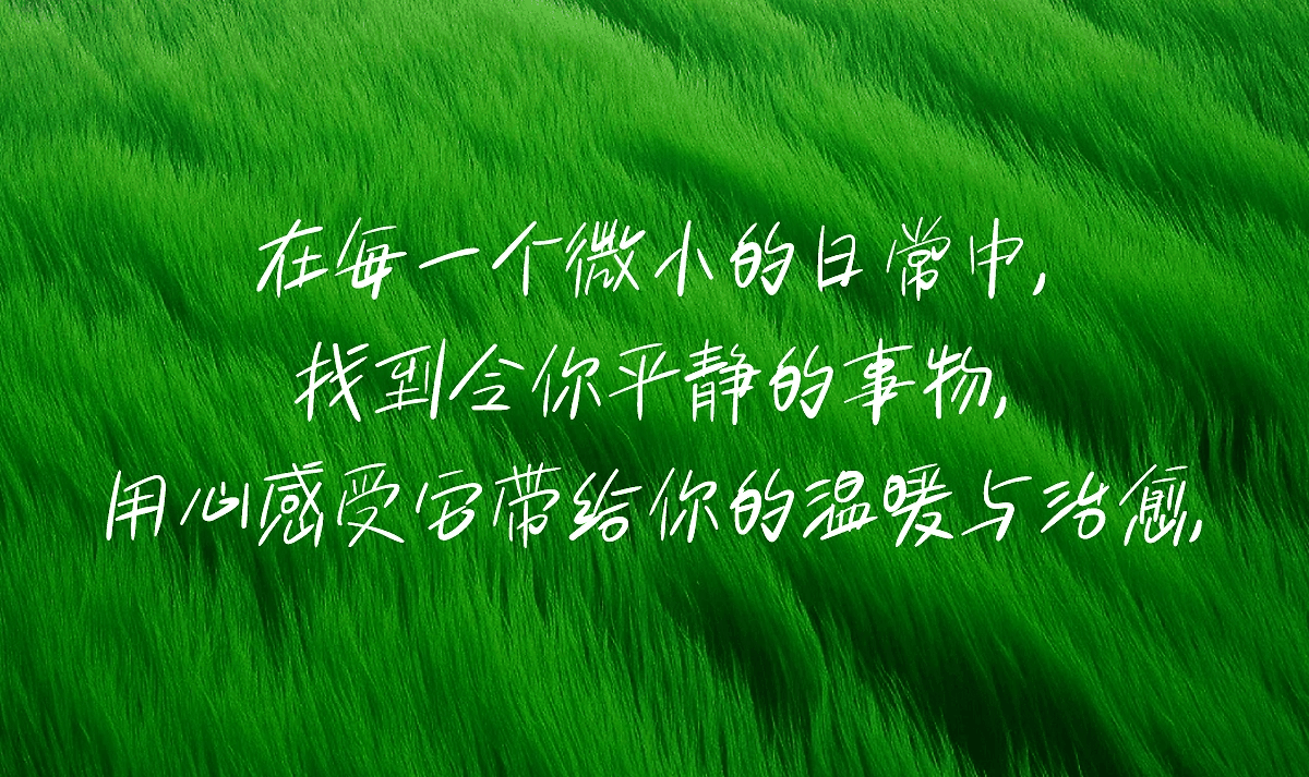 白路彤彤手写体 字体案例 2