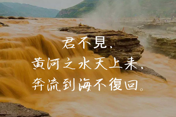 英椎行书效果预览