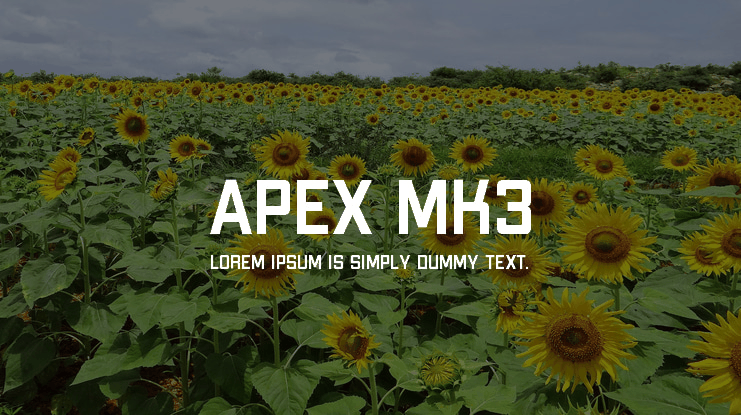 Apex Mk3 字体案例 3