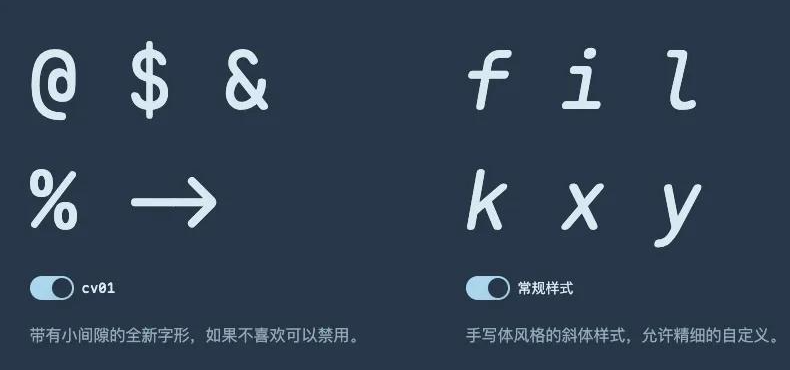 MapleMono 字体案例 4