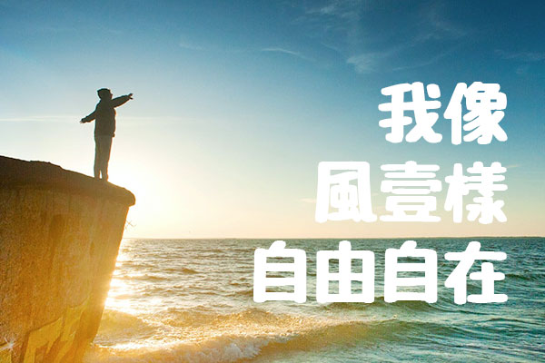 猫百万资源网效果预览
