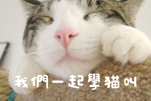 日系豆豆体效果预览